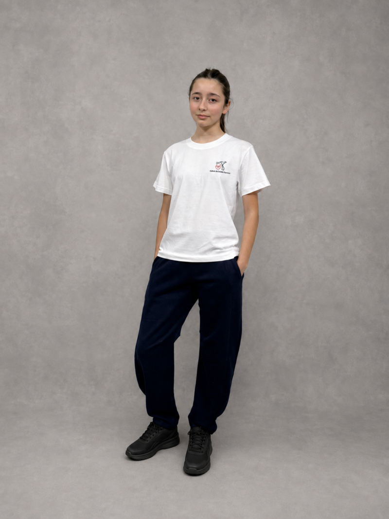 Remera Ed. Física Secundario ICSL