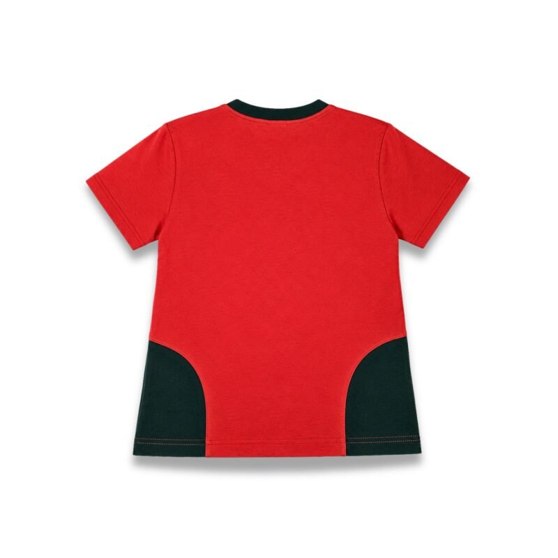 Remera Ed. Física Primario Inst. Saavedra Lamas 1 Remera Ed. Física Primario ICSL