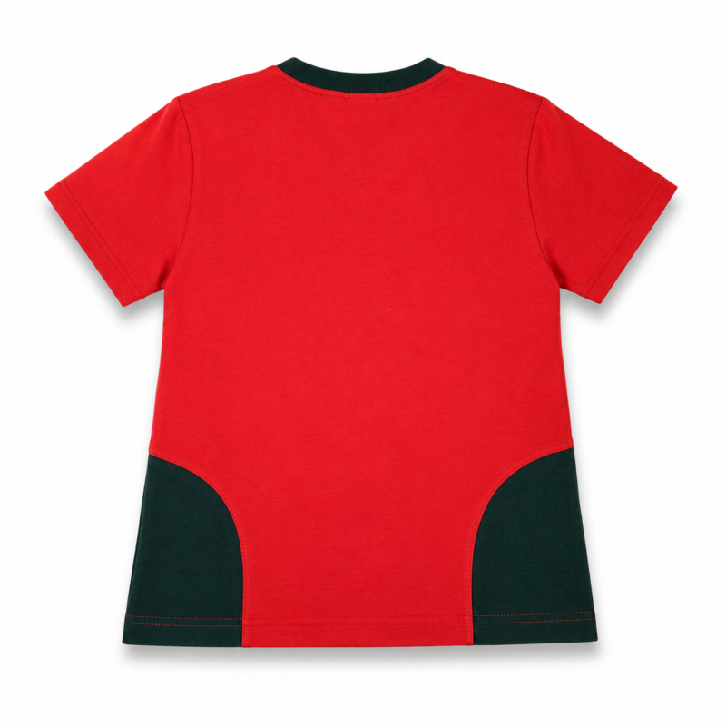 Remera Ed. Física Primario ICSL