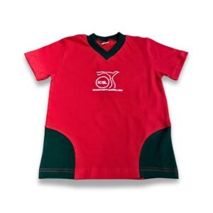 Remera Ed. Física Saavedra (primario)