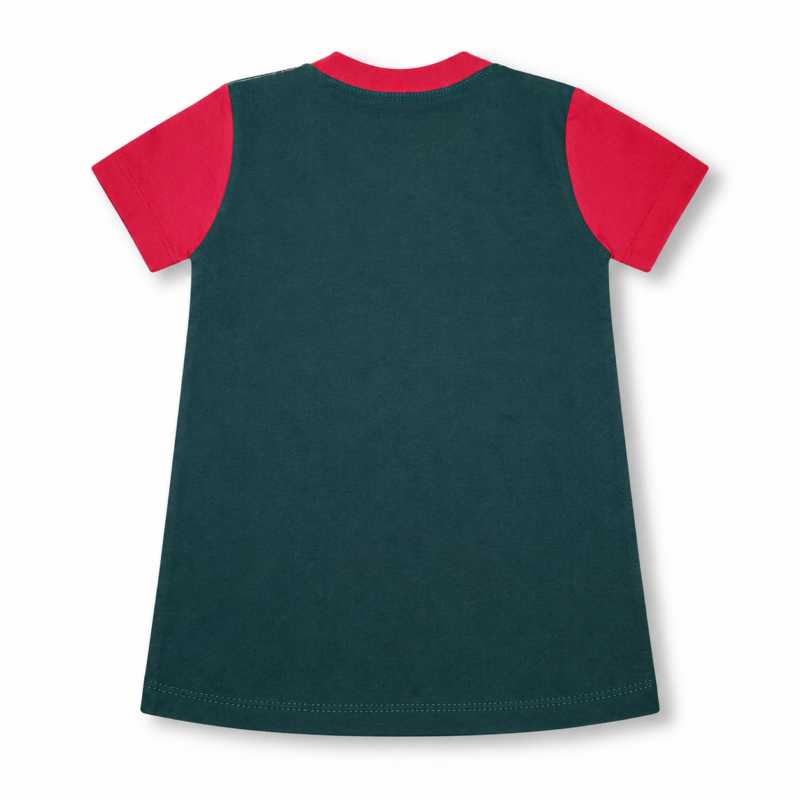 Remera Ed. Física Jardín ICSL