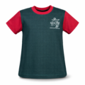 Remera Ed. Física Jardín ICSL
