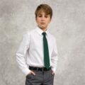 Remera Primario Unisex Inst. Arte Nuevo CORBATA VERDE INGLÉS